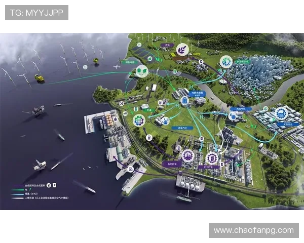 海王星国际的成功之道：创新与合作的双重驱动